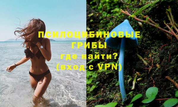 spice Алексеевка